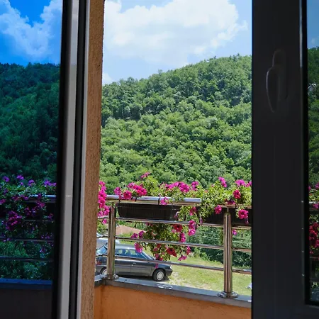 & Wellness Garetov Hotel Prolomska Banja